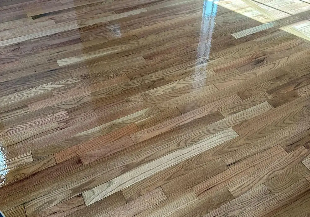 homePortfolioCarroselNovas-img12